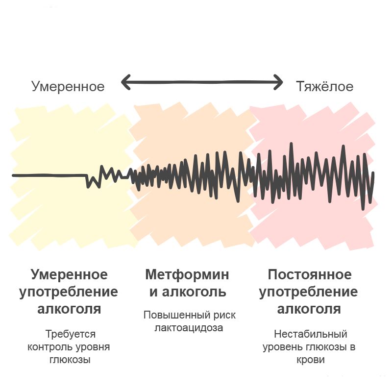 Инфографика воздействия метформина и алкоголя