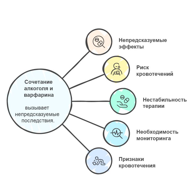Инфографика воздействия варфарина и алкоголя