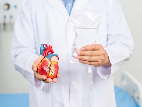 Доктор держит пластиковую модель сердца и пакет с раствором для капельниц