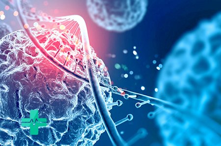 Иллюстрация гормонов