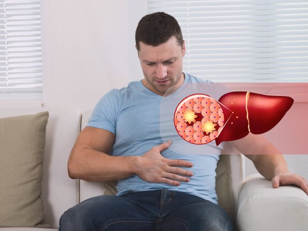 риски лоя печени