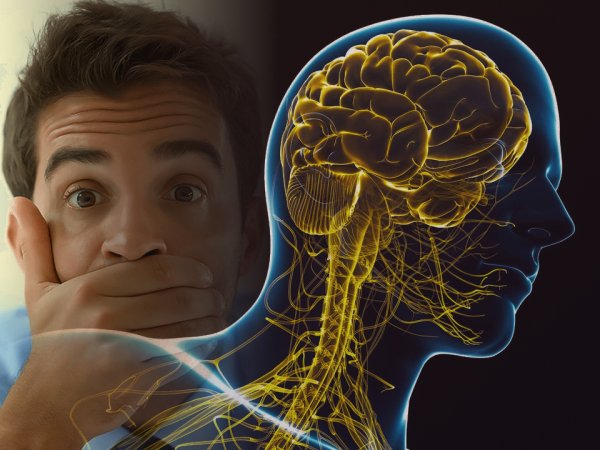 Фармакология